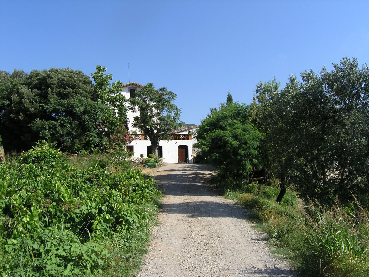 48399-foto-08076-47-2