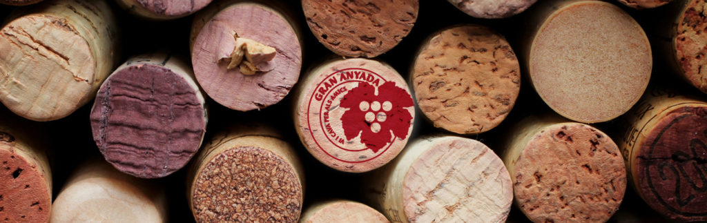 bannerprot-1-1024x323