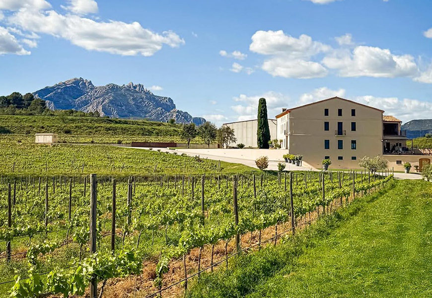 La-finca-de-Ca-NEstruc