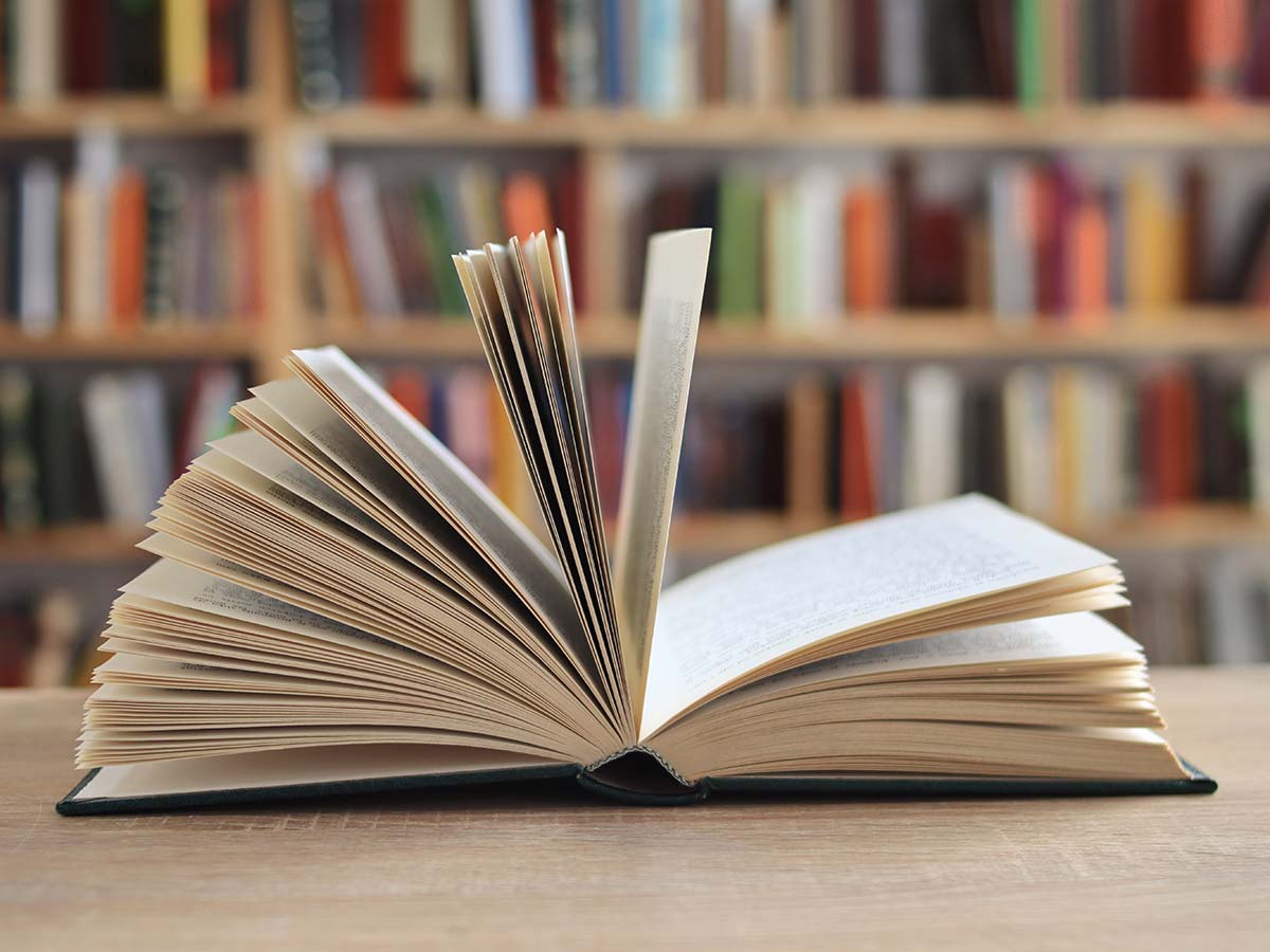 shutterstock_2562942291